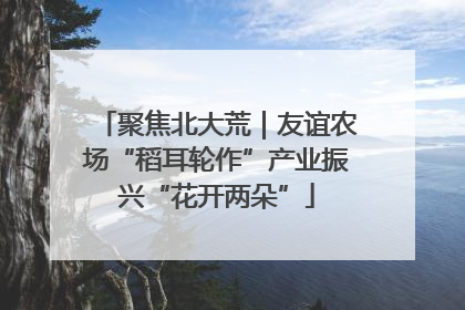 聚焦北大荒｜友谊农场“稻耳轮作”产业振兴“花开两朵”