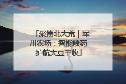 聚焦北大荒｜军川农场：智能喷药护航大豆丰收