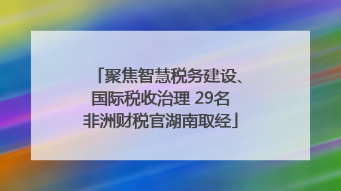 聚焦智慧税务建设、国际税收治理 29名非洲财税官湖南取经