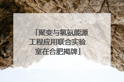 聚变与氢氨能源工程应用联合实验室在合肥揭牌