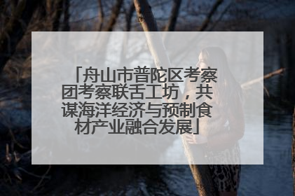 舟山市普陀区考察团考察联舌工坊，共谋海洋经济与预制食材产业融合发展