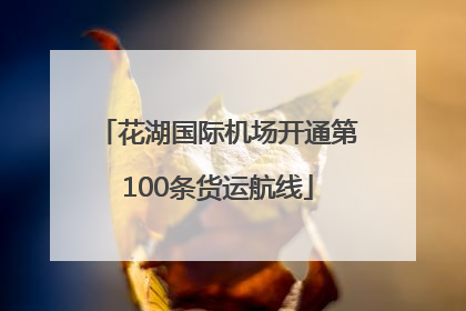 花湖国际机场开通第100条货运航线