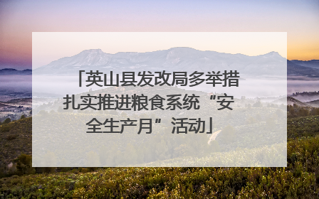 英山县发改局多举措扎实推进粮食系统“安全生产月”活动