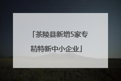 茶陵县新增5家专精特新中小企业