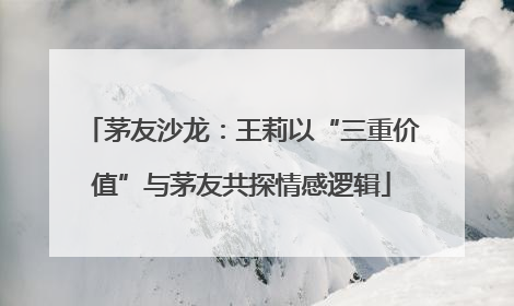 茅友沙龙：王莉以“三重价值”与茅友共探情感逻辑