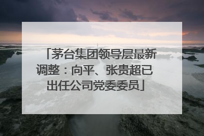 茅台集团领导层最新调整：向平、张贵超已出任公司党委委员