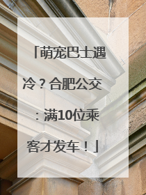 萌宠巴士遇冷？合肥公交：满10位乘客才发车！