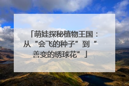 萌娃探秘植物王国：从“会飞的种子”到“善变的绣球花”