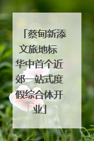 蔡甸新添文旅地标 华中首个近郊一站式度假综合体开业