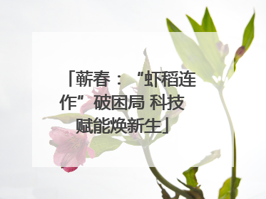 蕲春：“虾稻连作”破困局 科技赋能焕新生