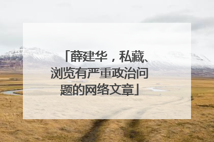 薛建华，私藏、浏览有严重政治问题的网络文章