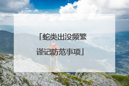 蛇类出没频繁 谨记防范事项