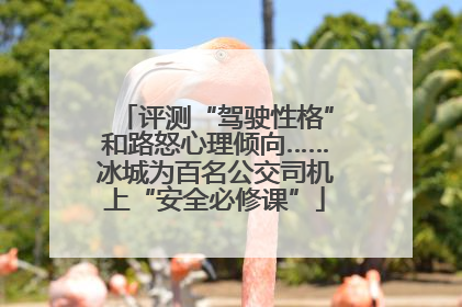 评测“驾驶性格”和路怒心理倾向……冰城为百名公交司机上“安全必修课”
