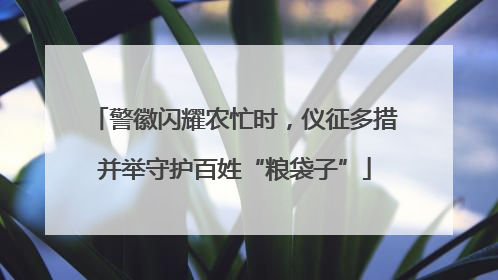 警徽闪耀农忙时，仪征多措并举守护百姓“粮袋子”