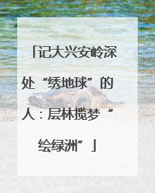 记大兴安岭深处“绣地球”的人：层林揽梦“绘绿洲”