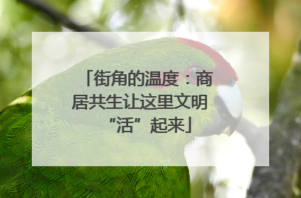 街角的温度：商居共生让这里文明“活”起来
