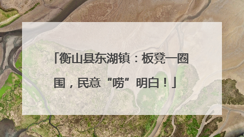 衡山县东湖镇：板凳一圈围，民意“唠”明白！