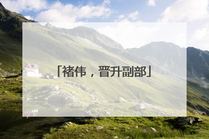 褚伟，晋升副部