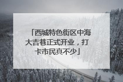 西城特色街区中海大吉巷正式开业，打卡市民真不少