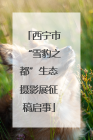 西宁市“雪豹之都”生态摄影展征稿启事