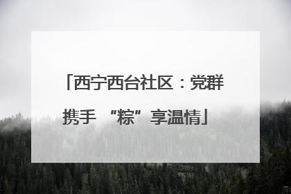 西宁西台社区：党群携手 “粽”享温情