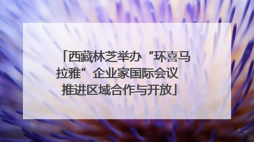 西藏林芝举办“环喜马拉雅”企业家国际会议 推进区域合作与开放