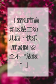 襄阳市高新区第二幼儿园：快乐度暑假 安全不“放假”