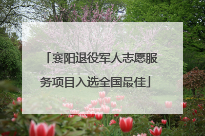 襄阳退役军人志愿服务项目入选全国最佳