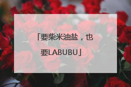要柴米油盐，也要LABUBU