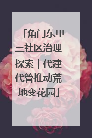角门东里三社区治理探索｜代建代管推动荒地变花园