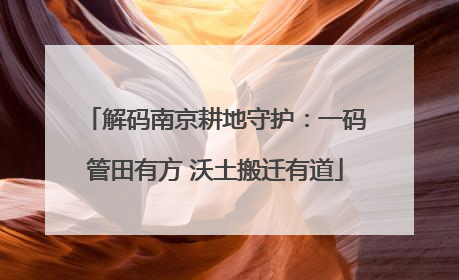解码南京耕地守护：一码管田有方 沃土搬迁有道