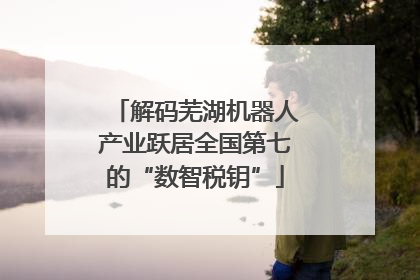 解码芜湖机器人产业跃居全国第七的“数智税钥”