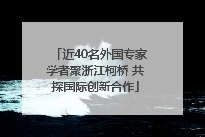 近40名外国专家学者聚浙江柯桥 共探国际创新合作