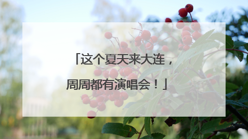 这个夏天来大连，周周都有演唱会！