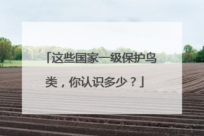 这些国家一级保护鸟类，你认识多少？