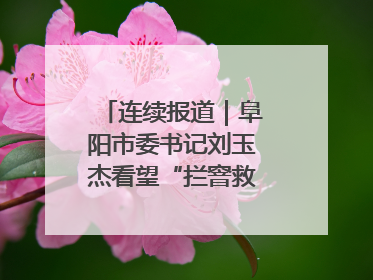 连续报道｜阜阳市委书记刘玉杰看望“拦窨救人”英勇团队
