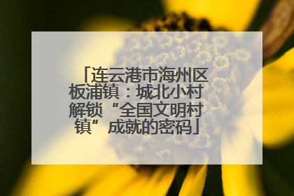 连云港市海州区板浦镇：城北小村解锁“全国文明村镇”成就的密码