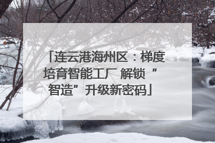 连云港海州区：梯度培育智能工厂 解锁“智造”升级新密码