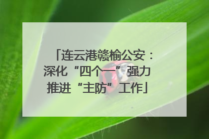 连云港赣榆公安：深化“四个一”强力推进“主防”工作