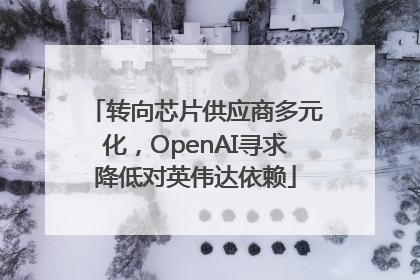 转向芯片供应商多元化，OpenAI寻求降低对英伟达依赖