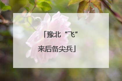 豫北“飞”来后备尖兵