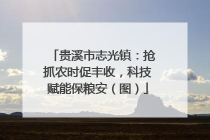 贵溪市志光镇：抢抓农时促丰收，科技赋能保粮安（图）