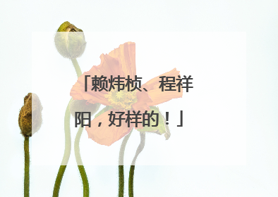赖炜桢、程祥阳，好样的！