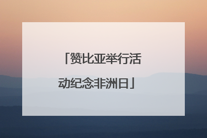 赞比亚举行活动纪念非洲日