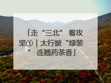 走“三北” 看攻坚①｜太行披“绿装” 连翘药茶香