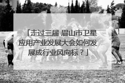 走过三届 眉山市卫星应用产业发展大会如何发展成行业风向标？