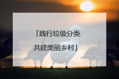 践行垃圾分类 共建美丽乡村