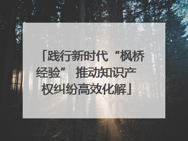 践行新时代“枫桥经验” 推动知识产权纠纷高效化解