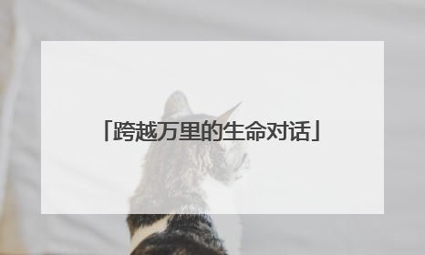 跨越万里的生命对话
