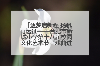 逐梦启新程 扬帆再远征——合肥市新城小学第十八届校园文化艺术节“戏曲进校园专场演出”